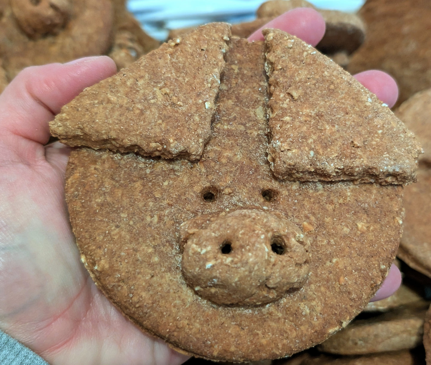 Large Marmite Pig
