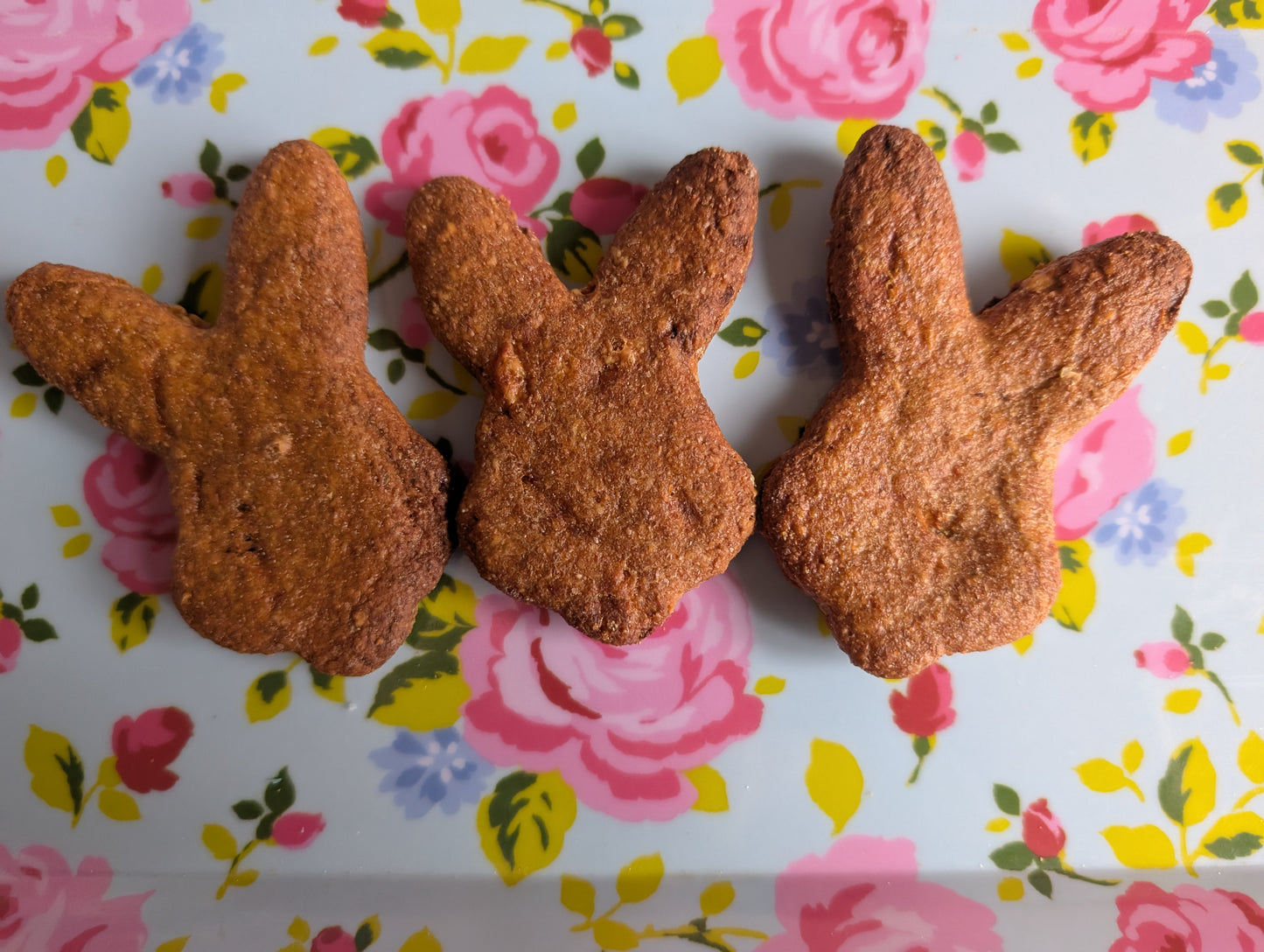 Carrot and Cheese Bunnies (Medium)
