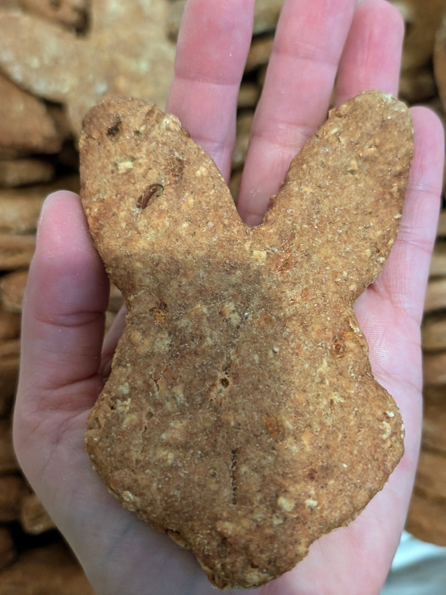 Large Carrot and Cheese Bunny